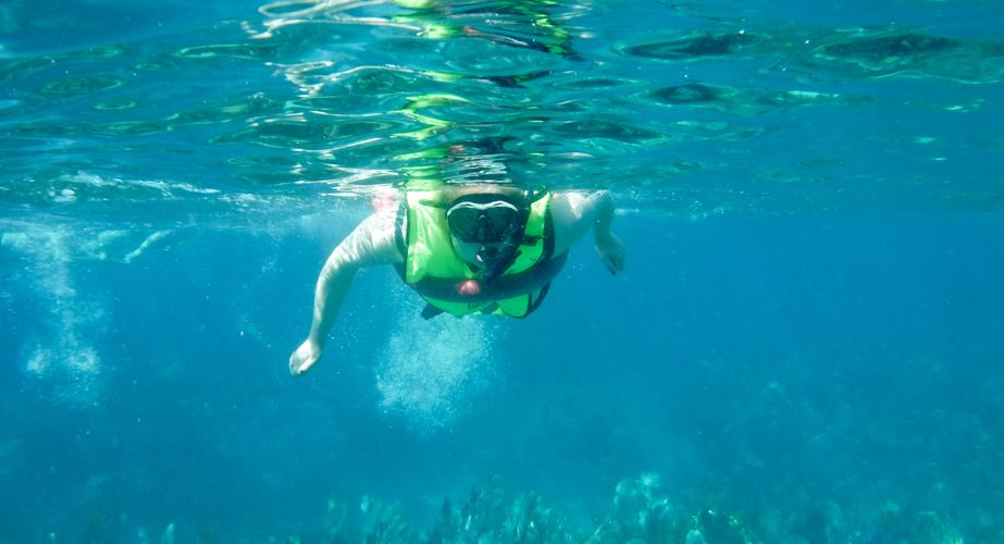 Deep South 133 Deep South 133